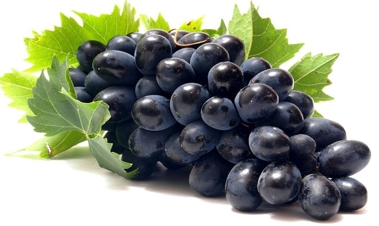 grozdje3