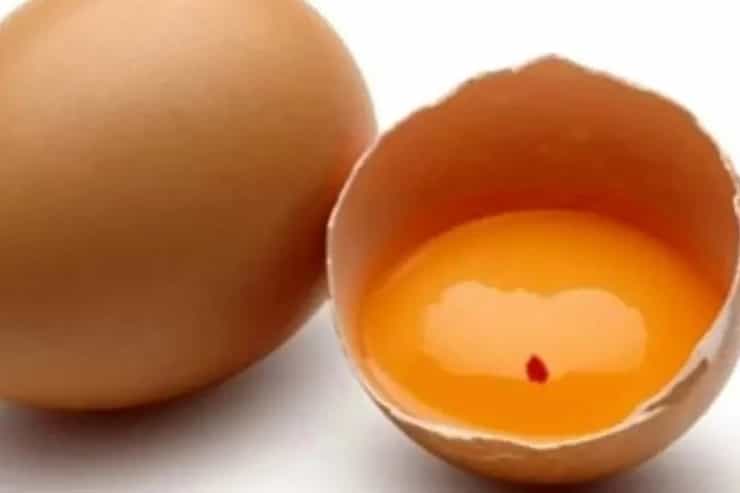 eggreddot 1