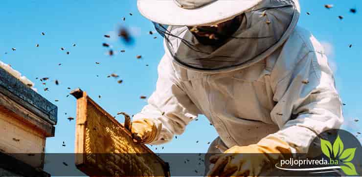 beekeeper