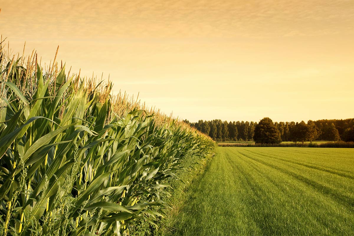 agri