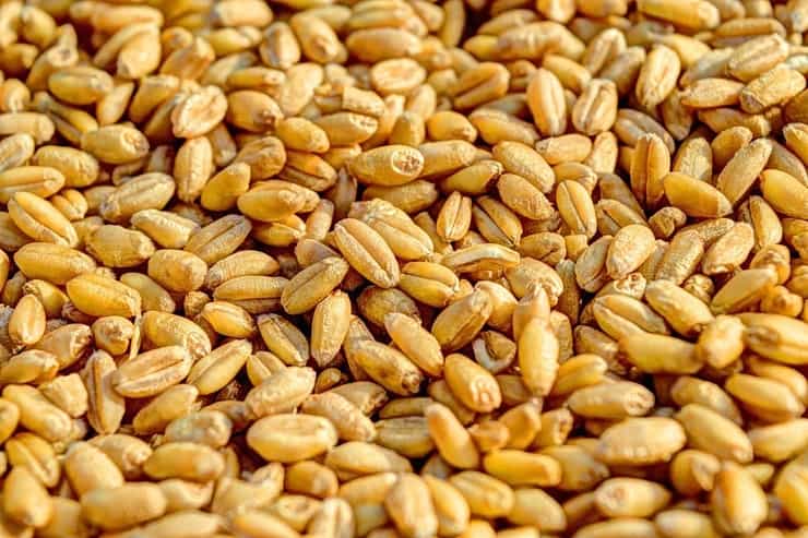 grainnnn