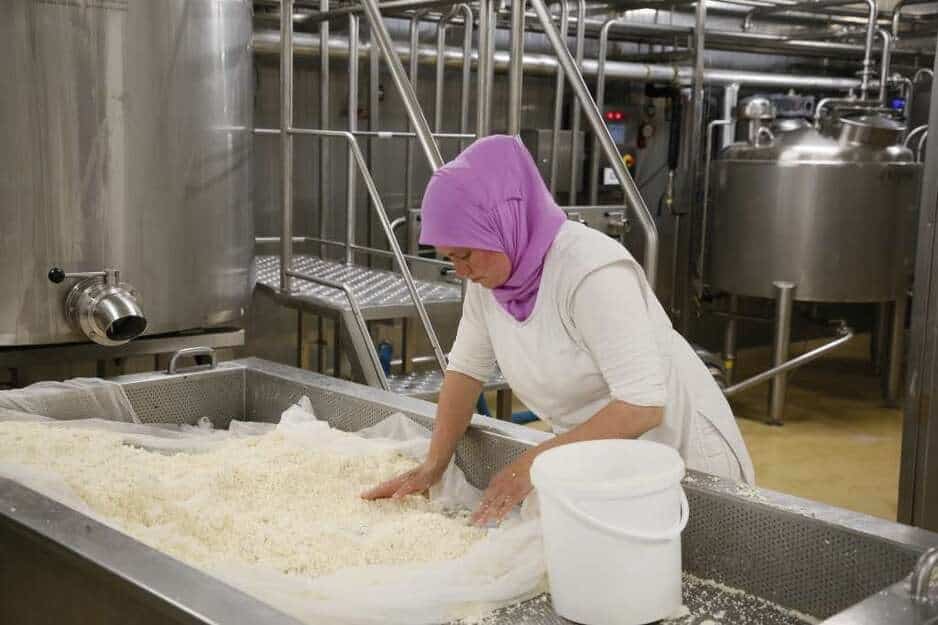 malakfarmmilkcheese min