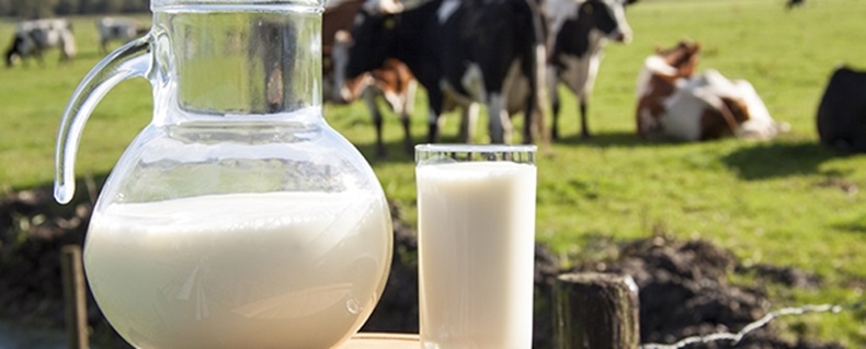 milkdairy