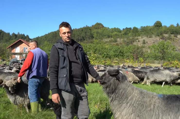 young shepherd Hasan Mujeketic