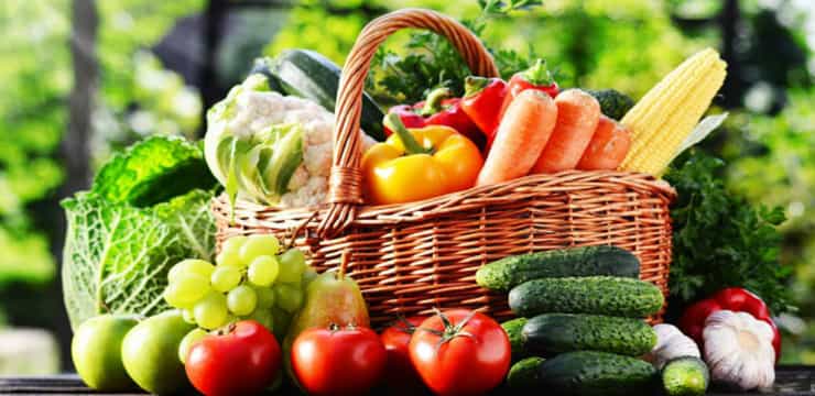 vegit 1