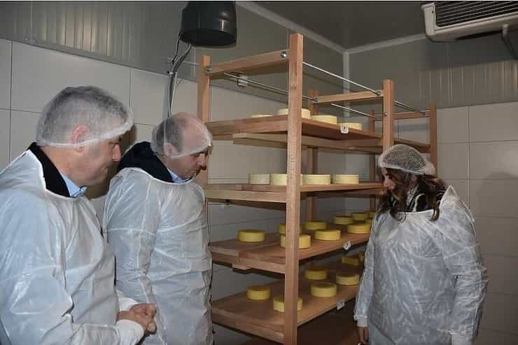 cheesefact 1