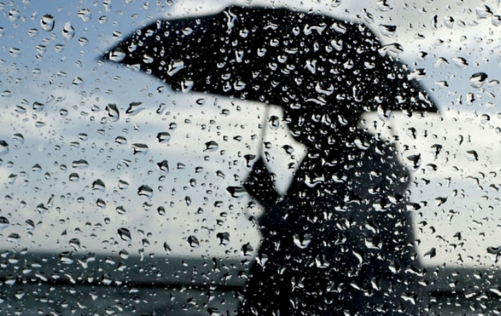 rainnov