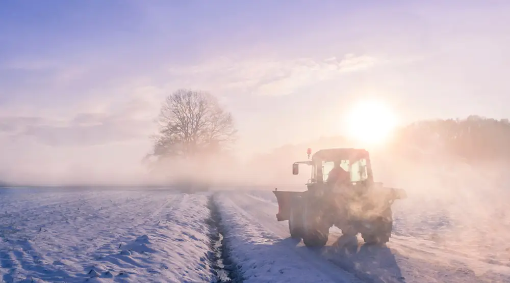 snow field